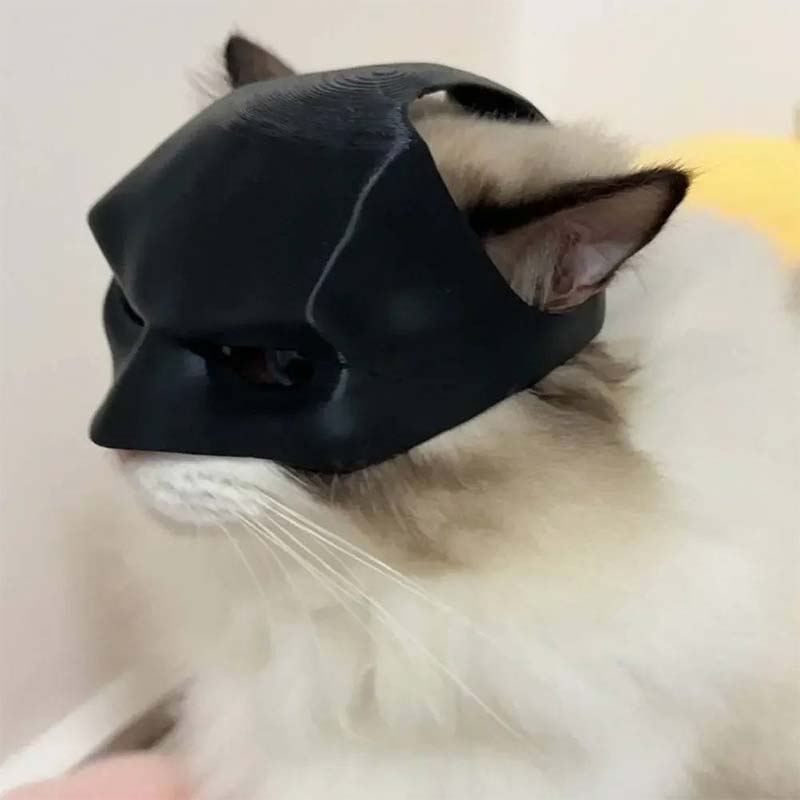 Bat Cat Avenger Mask