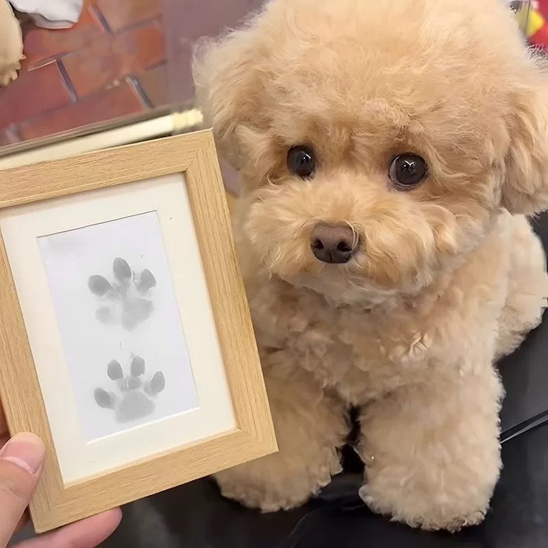 Pet & Baby Printing Kit